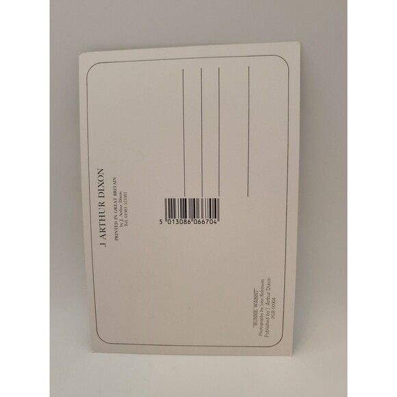 Postcard BUNNIE WABBIT John Robinson Published J. Arthur Dixon Great Britain - Picture 4 of 7